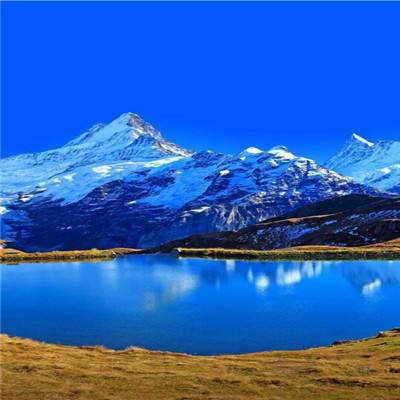 乐鱼app登录入口app下载