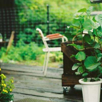 博鱼·(boyu)体育官方网站