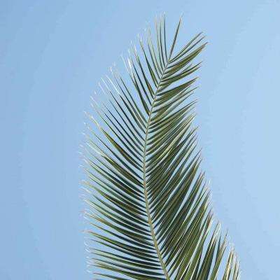 hth·华体育官方