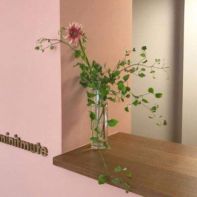 yaboapp手机app下载