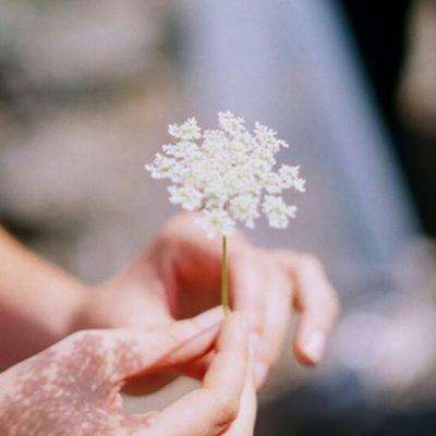 大只500注册下载