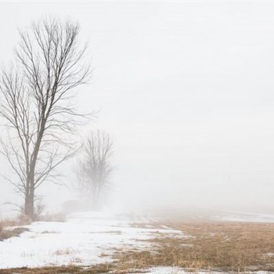 188BET亚洲体育投注